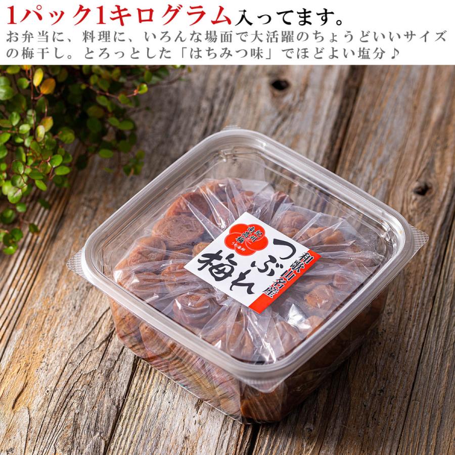 梅干し はちみつ 訳あり 減塩 はちみつ梅 1kg×2個(やや小粒 L玉 梅干し はちみつ 訳あり 減塩 はちみつ梅 1kg×2個(やや小粒 L玉