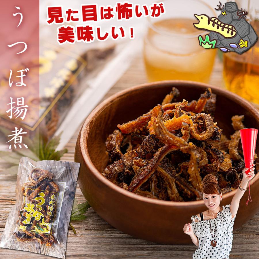 国産 海鮮 おつまみ 珍味 うつぼ揚煮 佃煮 45g×10個 ( 無添加 ) 唐揚げ ウツボ うつぼ うつぼ揚げ煮 酒のつまみ 酒の肴 干物 佃煮 ウツボの干物 得トク2WEEKS