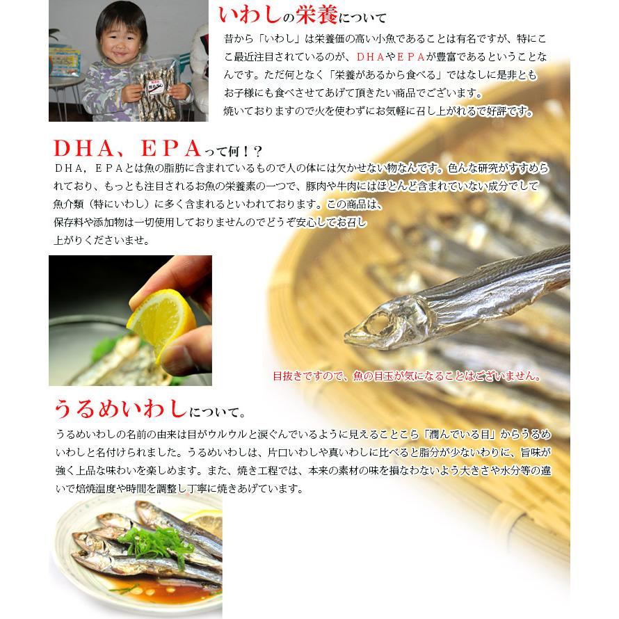 干物 国産 小魚 焼きうるめ うるめイワシ丸干し 32g×3個( 無添加 塩のみ おつまみ つまみ )焼 うるめいわし 焼うるめ 食べる小魚 めざし うるめ いわし :yakiurume-3:梅干し海産物 うめ海鮮Yahoo!店 - 通販 - Yahoo!ショッピング 干物 国産 小魚 焼きうるめ うるめイワシ丸干し 32g×3個( 無添加 塩のみ おつまみ つまみ )焼 うるめいわし 焼うるめ 食べる小魚 めざし うるめ いわし :yakiurume-3:梅干し海産物 うめ海鮮Yahoo!店 - 通販 - Yahoo!ショッピング