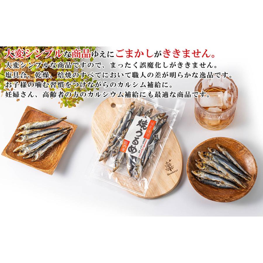 大特価 干物 国産 小魚 焼きうるめ うるめイワシ丸干し 32g 5個 無添加 塩のみ おつまみ つまみ 焼 うるめいわし 焼うるめ 食べる小魚 めざし うるめ いわし Materialworldblog Com