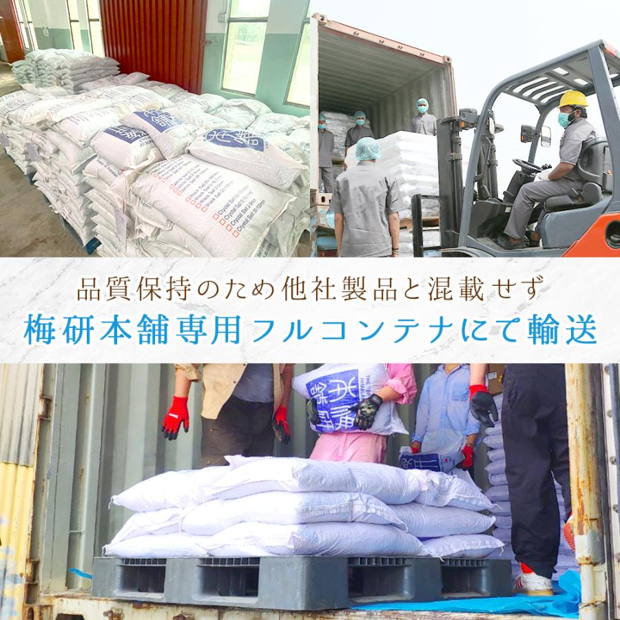 ヒマラヤ岩塩 ホワイトジェム バスソルト 100g 3袋 計300g