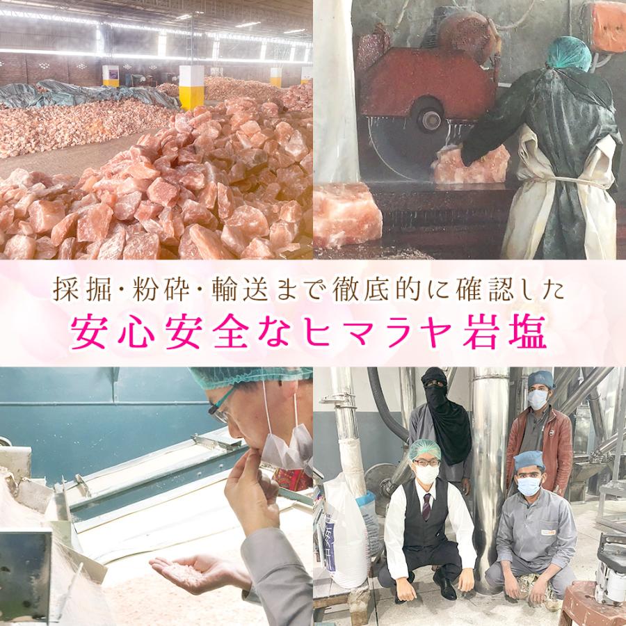 自然 (じねん)天然岩塩入浴剤 500g×2袋セット　30g小袋×3 ヒマラヤ岩塩バスソルト お試しセット ブラックソルト パウダー 1kg