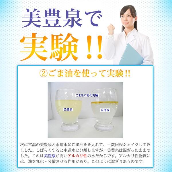 天然 温泉水 美豊泉 20L 1箱 ミネラルウォーター 天然有機ゲルマニウム