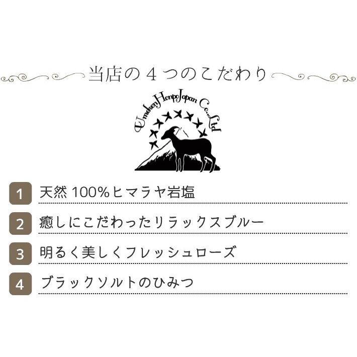 ヒマラヤ岩塩 ハーブ スパ 450g 約15回分 バスソルト プチギフト