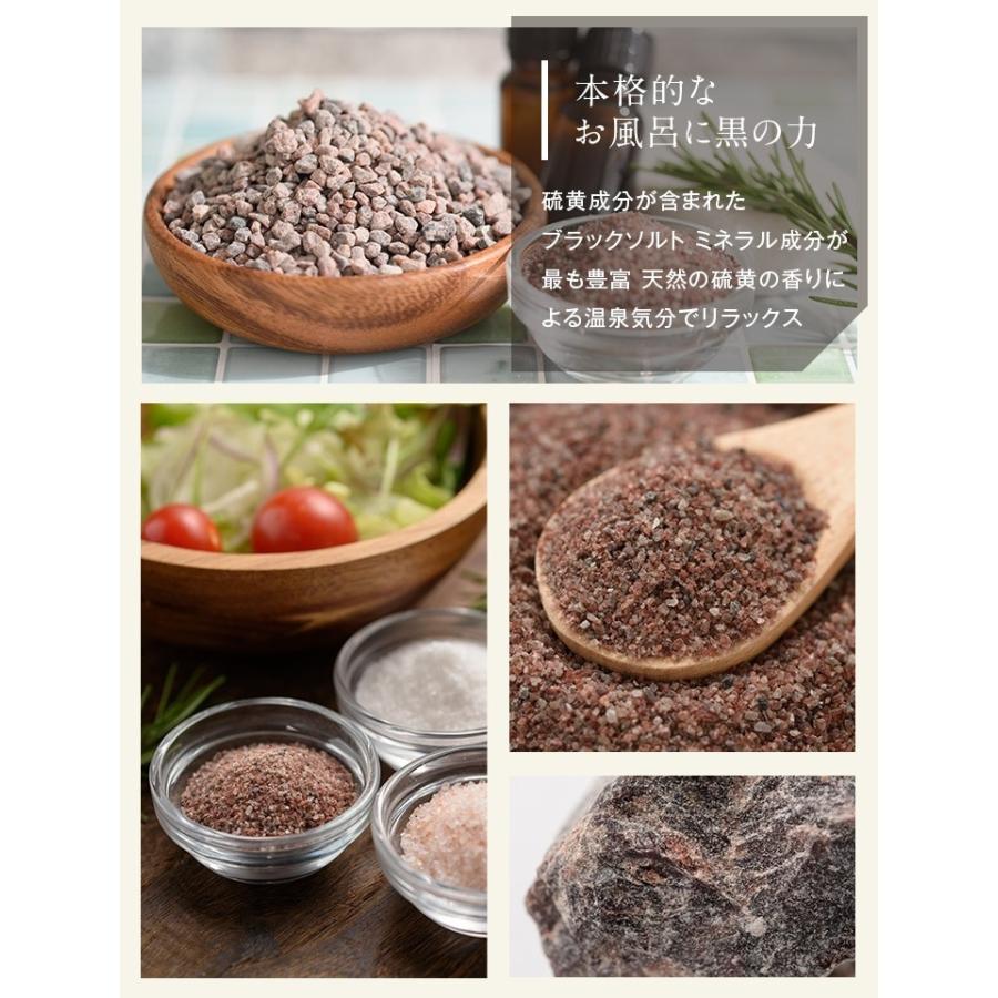 バスソルト ヒマラヤ岩塩 あら塩 全色お試しセット 450g クリスマス