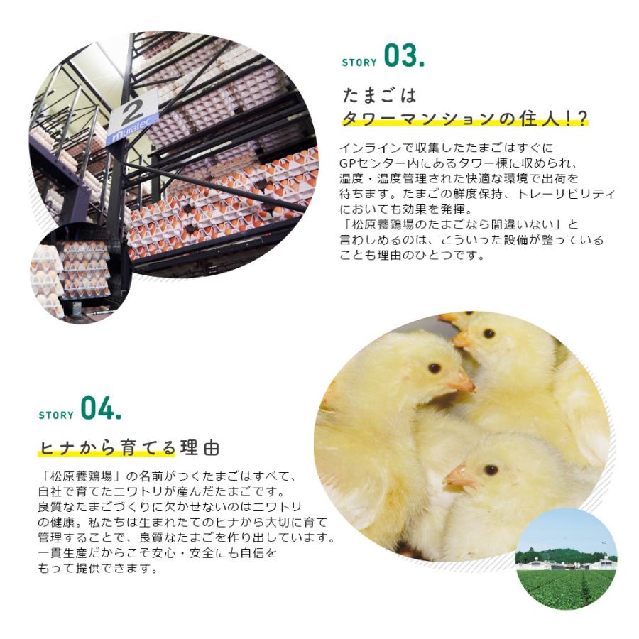 濃厚卵 高級卵 黒高麗人参 長寿卵 27個+割れ保証3個 全国 送料無料 鹿児島県産 産地直送 健康 梅研本舗