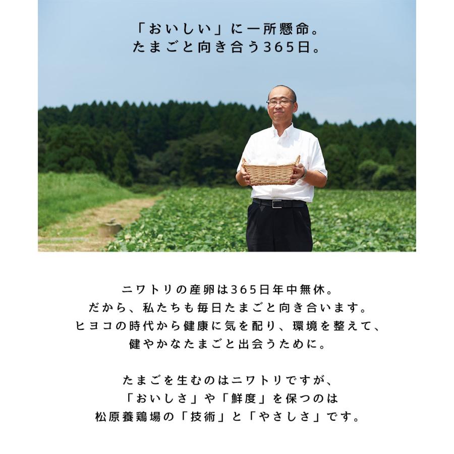 濃厚卵 高級卵 黒高麗人参 長寿卵 27個+割れ保証3個 全国 送料無料 鹿児島県産 産地直送 健康 梅研本舗