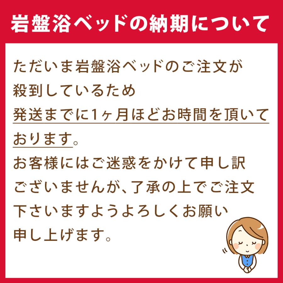 岩盤浴自宅用 岩盤浴ベッド 自宅 家庭用 ラジウム トルマリン 岩盤浴自宅用 岩盤浴ベッド 自宅 家庭用 ラジウム トルマリン