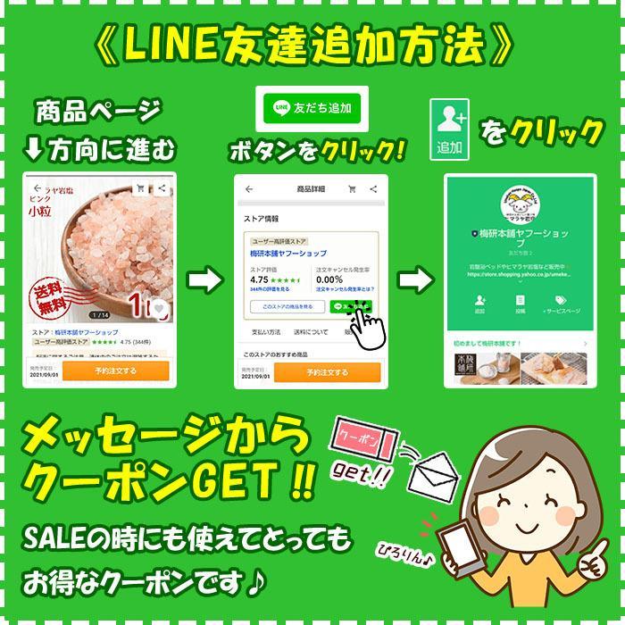 ヒマラヤ岩塩 バスソルト プチギフトセット 30g×5パック ピースバス
