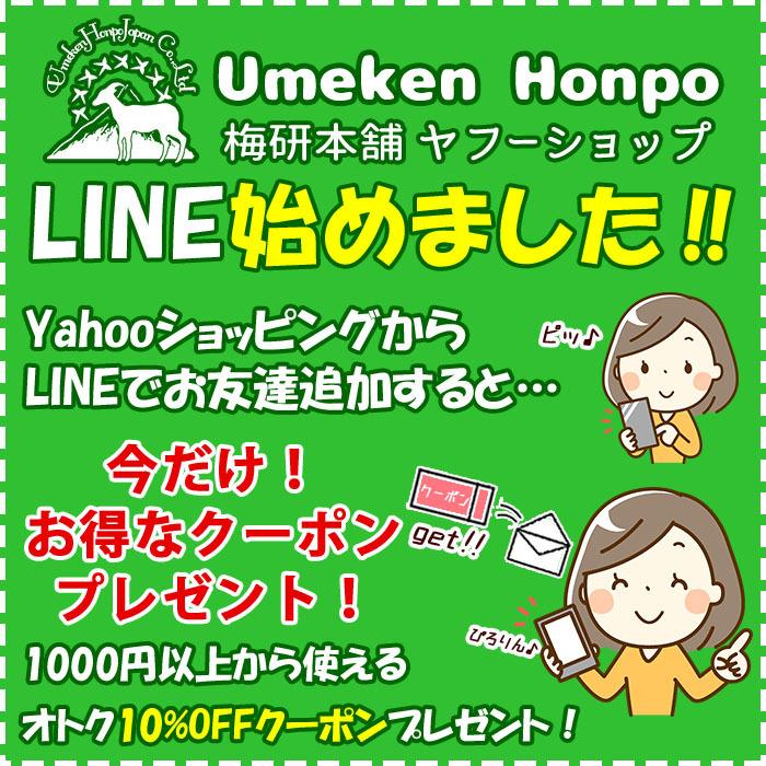 ブラックソルト ヒマラヤ岩塩 バスソルト ブラック ブロック 3kg 塊 天然 無添加 岩塩 健康とリラクゼーションの専門店 梅研本舗 UMEKEN HONPO｜umekenhonpo｜16