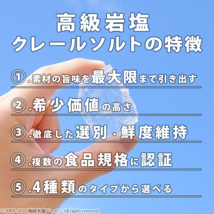 岩塩 食用 ヒマラヤ岩塩 クレールソルト あら塩 0g 高級岩塩 Uh Csa0 梅研本舗ヤフーショップ 通販 Yahoo ショッピング