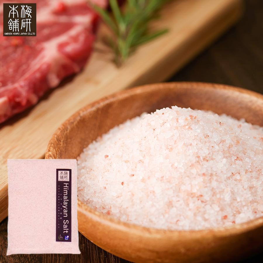 岩塩 食用 ヒマラヤ岩塩 ピンク あら塩 1kg 約0.15-1mm ピンクソルト