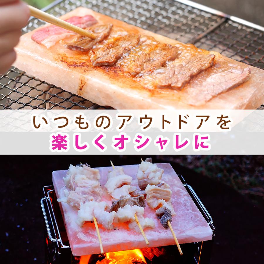 岩塩プレート ヒマラヤ岩塩プレート 100×150×15mm前後 5枚 焼肉 熱中症 