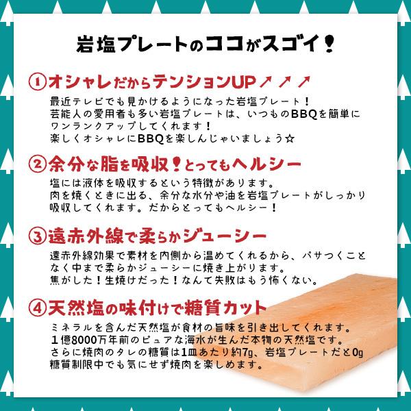 岩塩プレート ヒマラヤ岩塩プレート 150×150×15mm前後 10枚 焼肉 熱中症対策 健康とリラクゼーションの専門店 梅研本舗 UMEKEN HONPOの画像