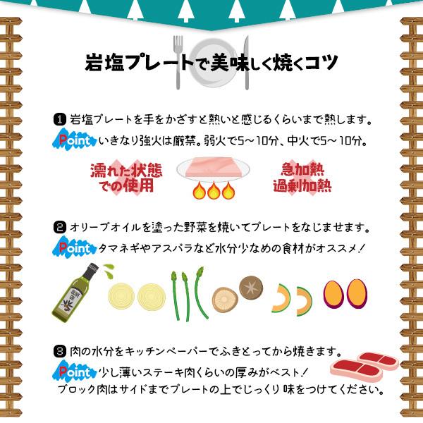 岩塩プレート ヒマラヤ岩塩プレート 150×150×15mm前後 10枚 焼肉 熱中症対策 健康とリラクゼーションの専門店 梅研本舗 UMEKEN HONPOの画像