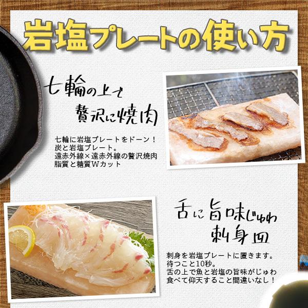 岩塩プレート ヒマラヤ岩塩プレート 150×150×15mm前後 10枚 焼肉 熱中症対策 健康とリラクゼーションの専門店 梅研本舗 UMEKEN HONPOの画像