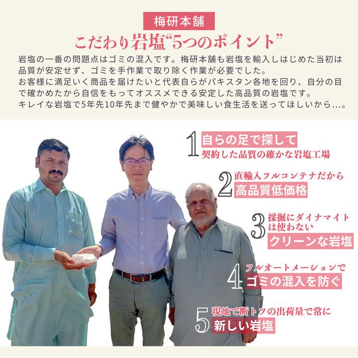 スパイスボトル Lサイズ ヒマラヤ岩塩 ピンク パウダー 入り Haccp管理 Brc認証 ハラール認証 熱中症対策 Uh Sbpp 梅研本舗ヤフーショップ 通販 Yahoo ショッピング