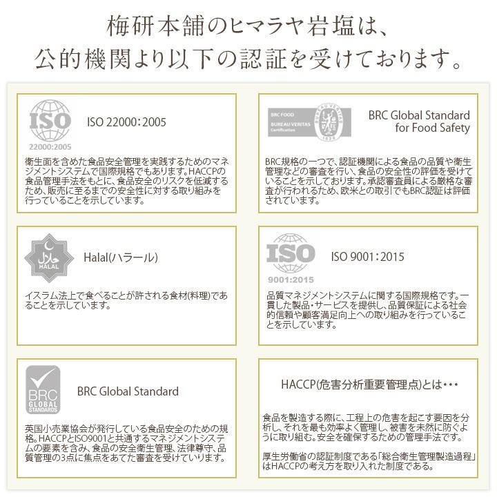 スパイスボトル Lサイズ ヒマラヤ岩塩 ピンク パウダー 入り Haccp管理 Brc認証 ハラール認証 熱中症対策 Uh Sbpp 梅研本舗ヤフーショップ 通販 Yahoo ショッピング