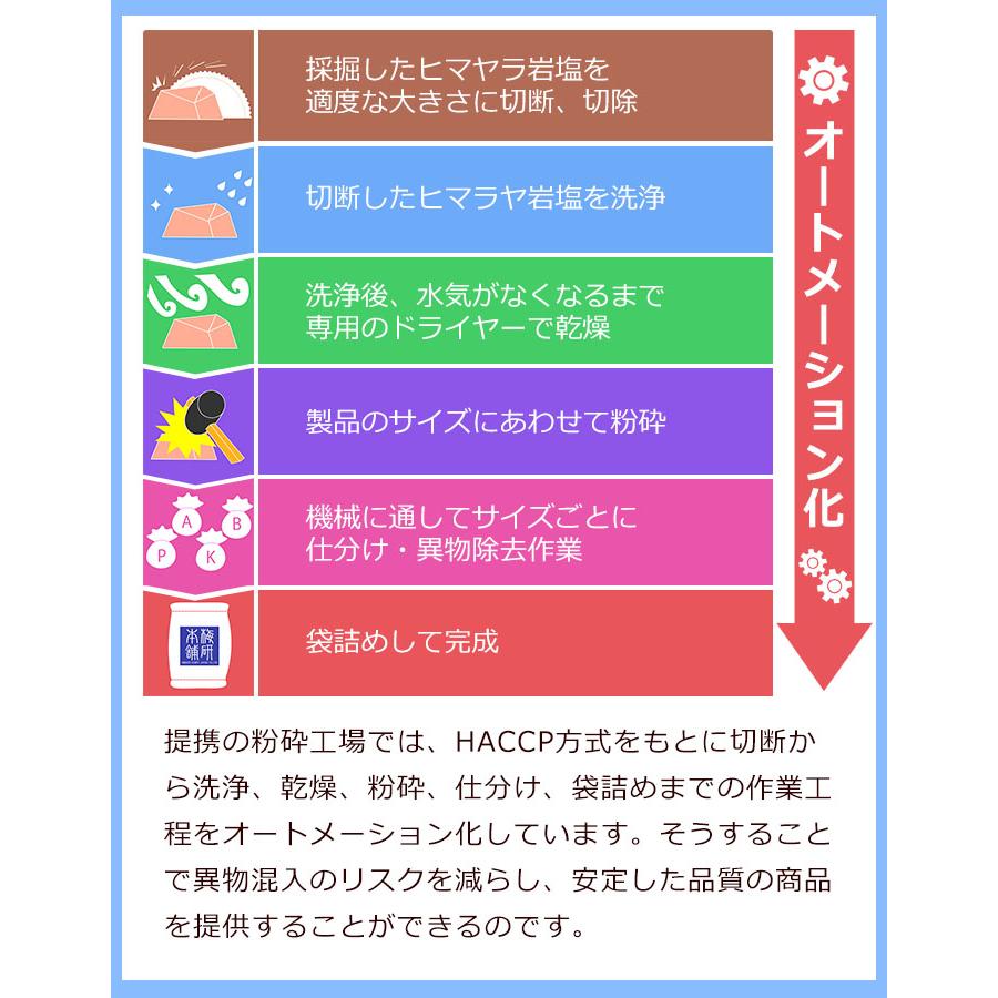 岩塩 食用 ヒマラヤ岩塩 ホワイト ブロック 10kg 塊 天然 HACCP管理 健康とリラクゼーションの専門店 梅研本舗 UMEKEN HONPO｜umekenhonpo｜17