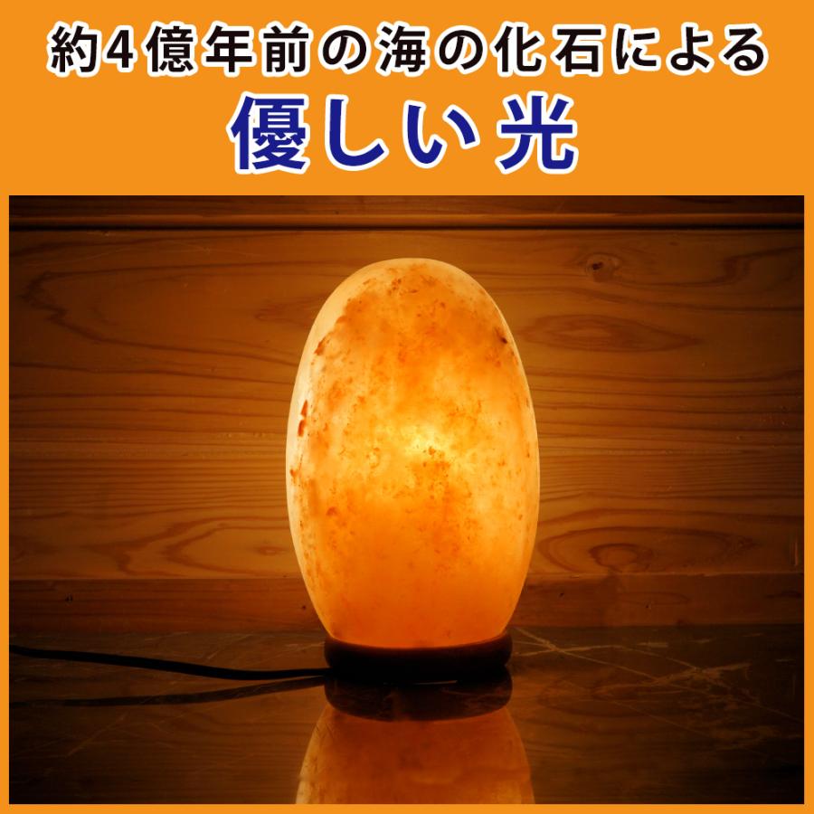 ラバランプ Dripping Lamp Cocoon コクーン モーションランプ ワックス