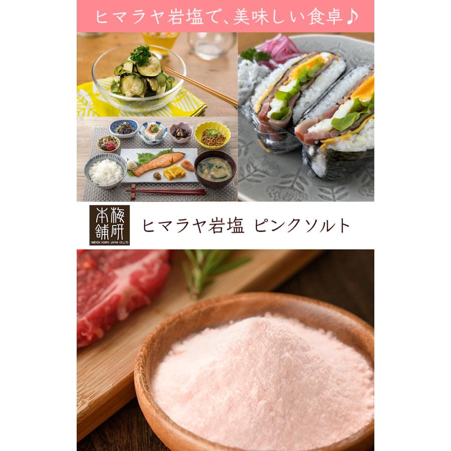 岩塩 食用 ヒマラヤ岩塩 ピンク パウダー 20kg ピンクソルト