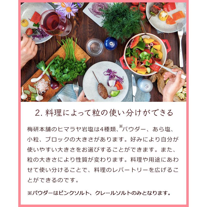 岩塩 食用 ヒマラヤ岩塩 ピンク パウダー 20kg ピンクソルト HACCP管理