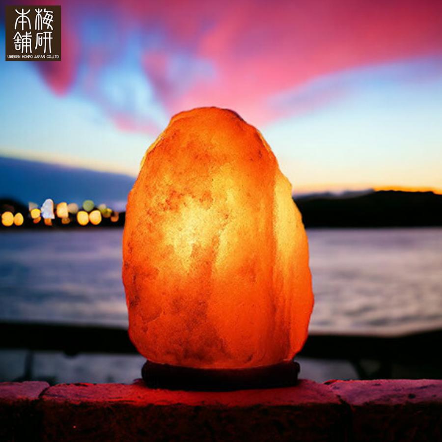 ヒマラヤ岩塩ランプ ムーン型 ソルトランプ 岩塩 ヒマラヤ岩塩