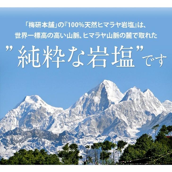 ブラックソルト ヒマラヤ岩塩 バスソルト ブラック ブロック 5kg 塊