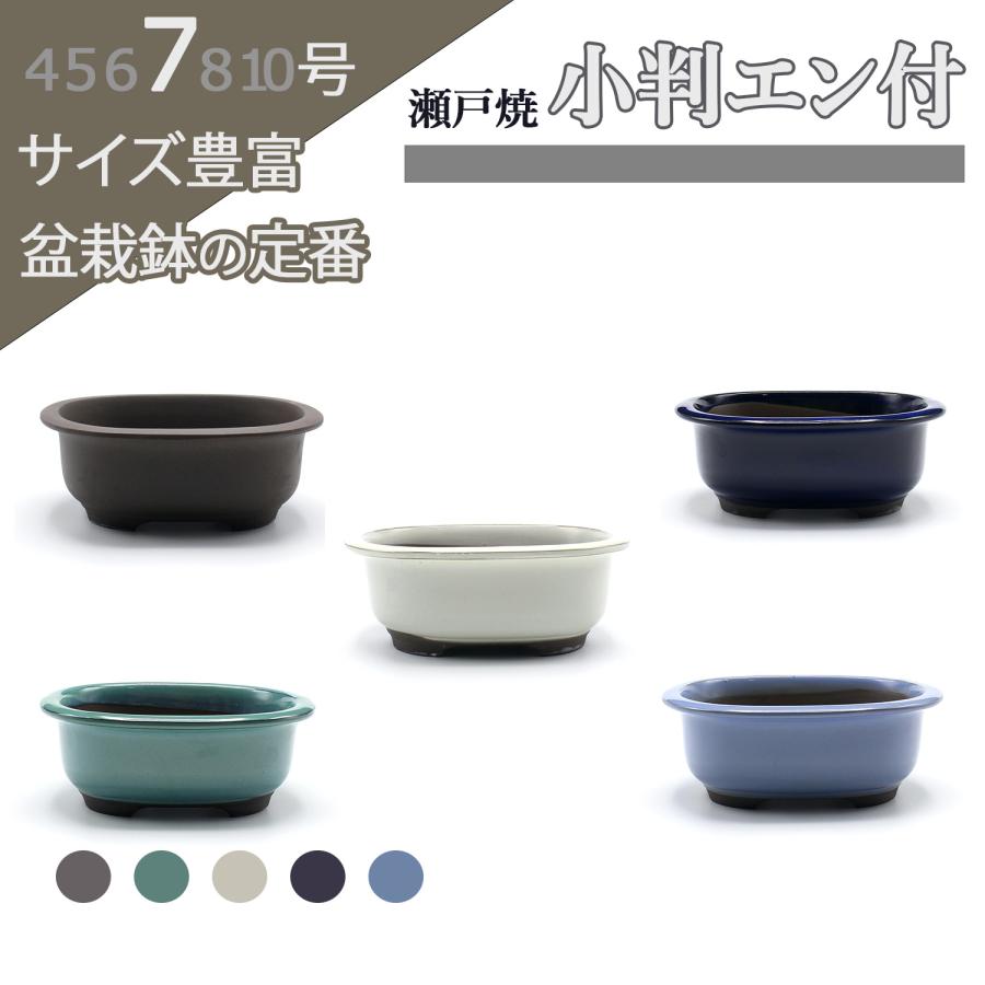 盆栽鉢 陶器 7号 小判エン付鉢 五色展開 ウ泥 緑 クリーム 青 均窯 