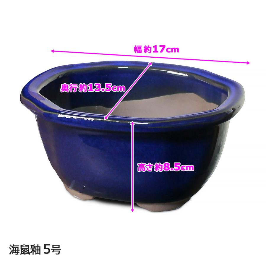 盆栽鉢 陶器 5号 木瓜鉢 モッコ鉢 おしゃれ 専門店 瀬戸焼 黄 緑 白 青