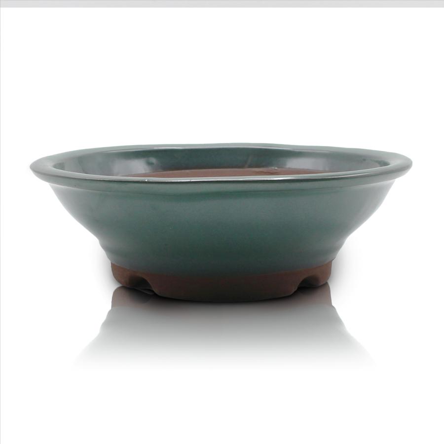 中型盆栽鉢中型盆栽鉢