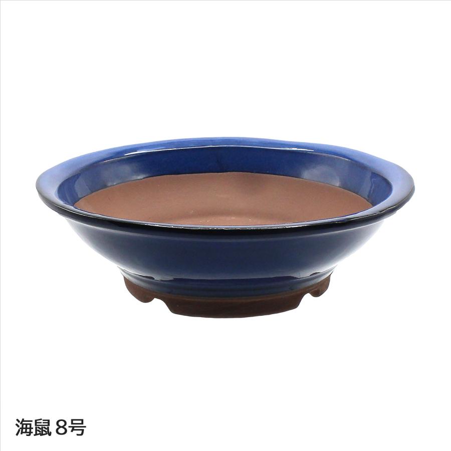 錦花山 松阪萬古 水盤 萬古焼 松坂萬古 花生 華道 盆栽 水鉢 骨董 盆栽鉢 陶器 8号 丸陣笠鉢 おしゃれ 専門店 白 水色 青 緑 四色展開