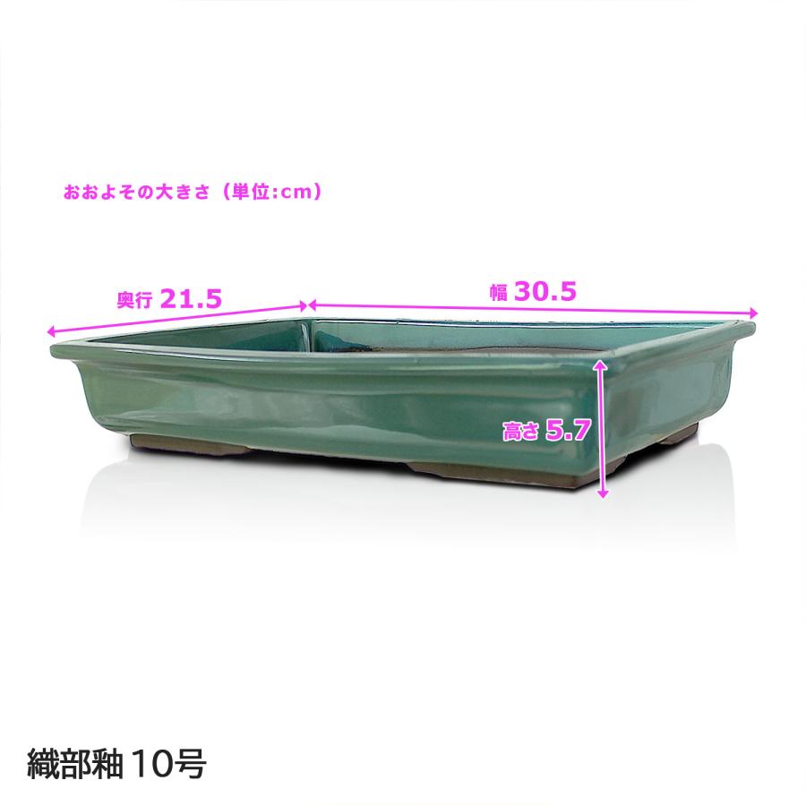 盆栽鉢 陶器 10号 長角マド入 おしゃれ 専門店 白 青 緑 三色展開 瀬戸