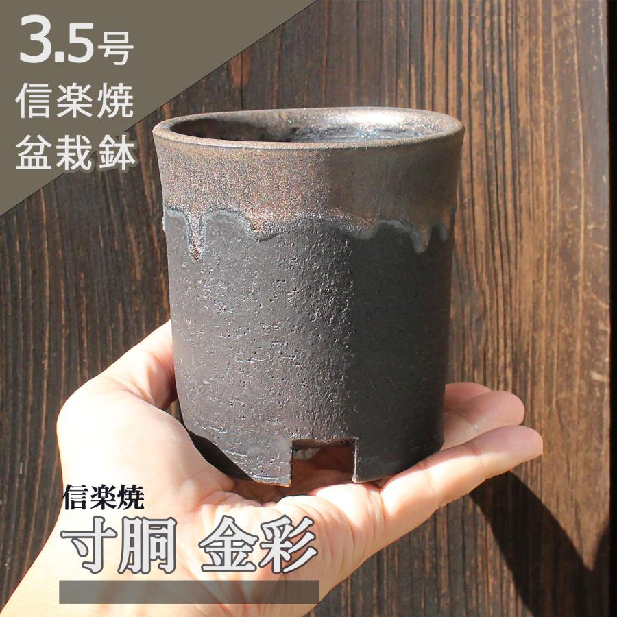 盆栽鉢 3号クラス 寸胴 金彩 黒マット 信楽焼 山野草 観葉植物 アガベ