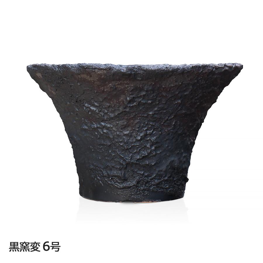 盆栽鉢 6号 ソリ型 銀彩 信楽焼 山野草 観葉植物 アガベ 塊根