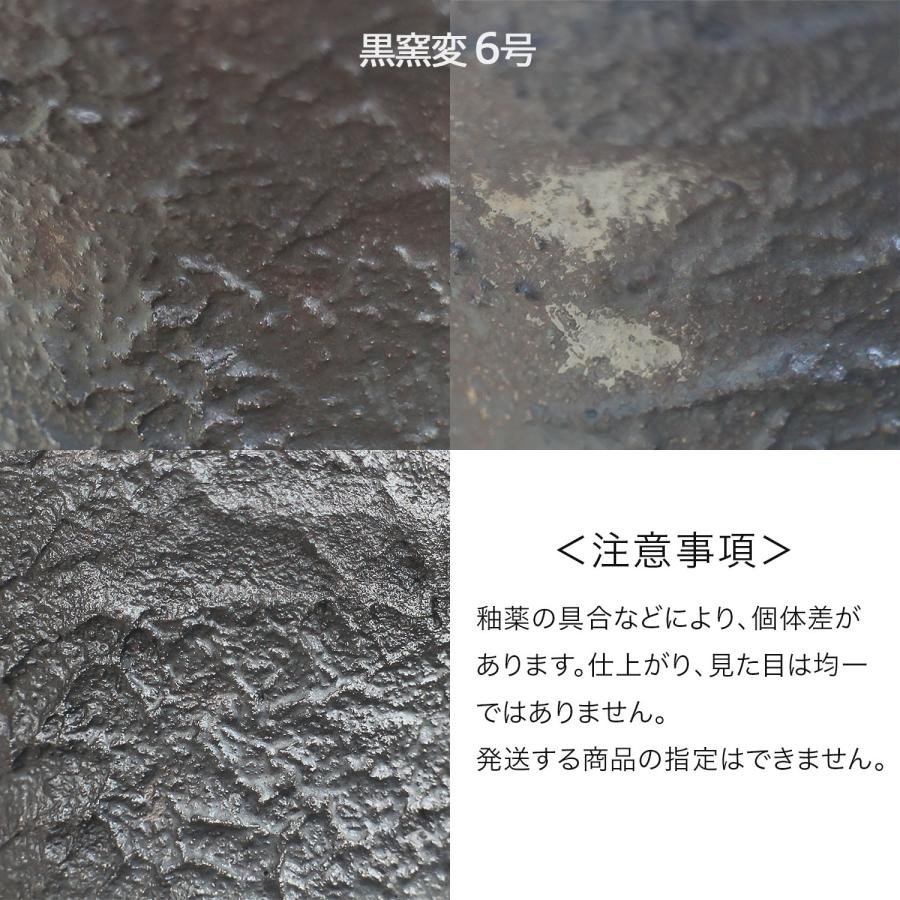 盆栽鉢 6号 ソリ型 銀彩 信楽焼 山野草 観葉植物 アガベ 塊根