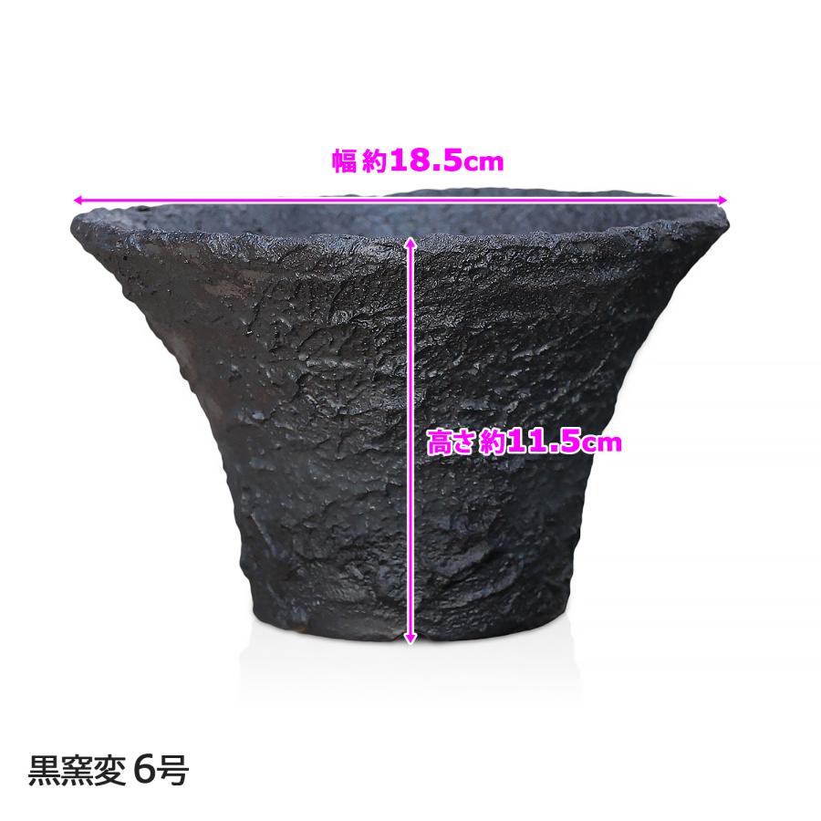 盆栽鉢 6号 ソリ型 銀彩 信楽焼 山野草 観葉植物 アガベ 塊根