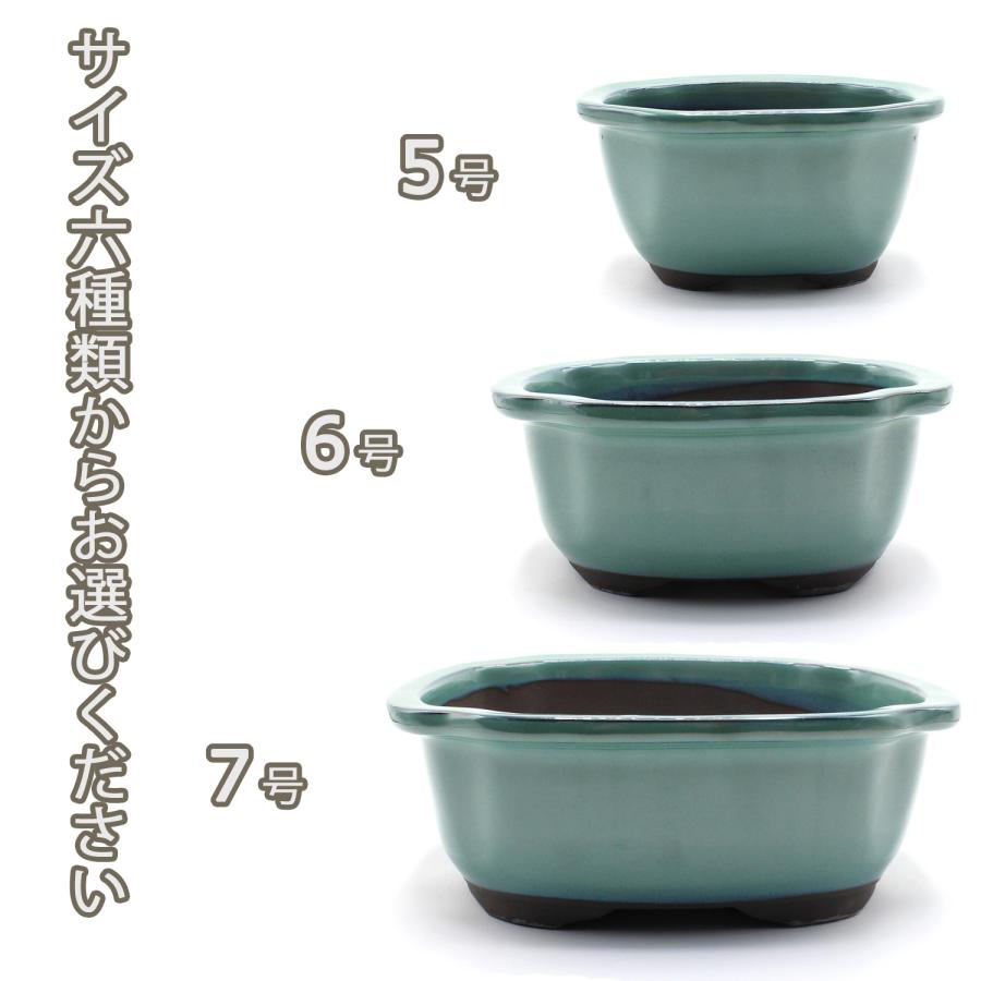盆栽鉢 陶器 8号 木瓜鉢 モッコ鉢 おしゃれ 専門店 瀬戸焼 四色展開 黄