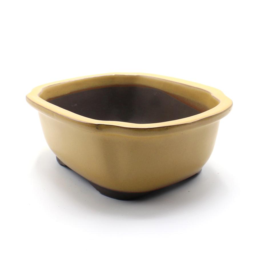 盆栽鉢 陶器 8号 木瓜鉢 モッコ鉢 おしゃれ 専門店 瀬戸焼 四色展開 黄