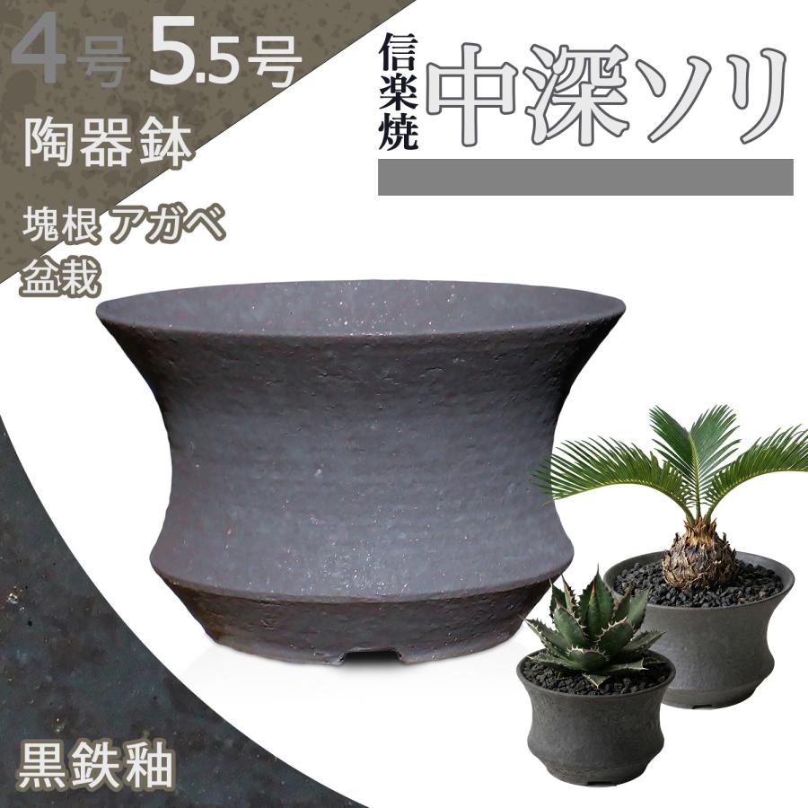 盆栽鉢 陶器鉢 黒鉄釉 中深ソリ 5号6号クラス SMの2サイズ展開 信楽焼