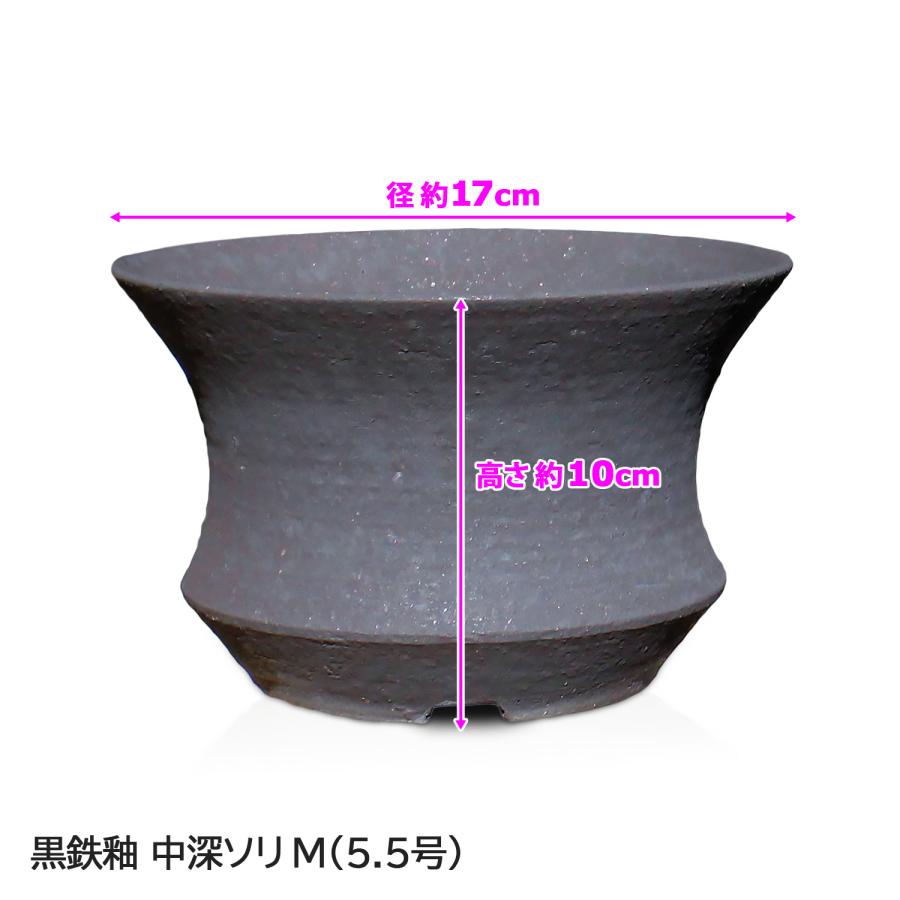 盆栽鉢 陶器鉢 黒鉄釉 中深ソリ 5号6号クラス SMの2サイズ展開 信楽焼