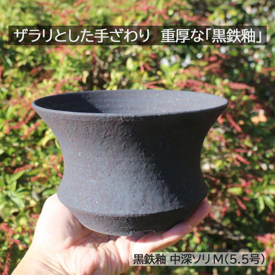 盆栽鉢 陶器鉢 黒鉄釉 中深ソリ 5号6号クラス SMの2サイズ展開 信楽焼