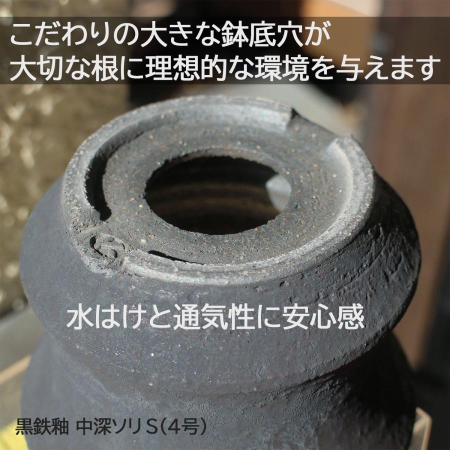 盆栽鉢 陶器鉢 黒鉄釉 中深ソリ 5号6号クラス SMの2サイズ展開 信楽焼