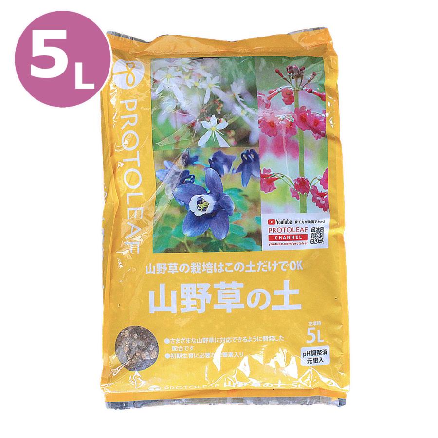 STANDARD BOOKSTORE 植キチのタケちゃん様専用