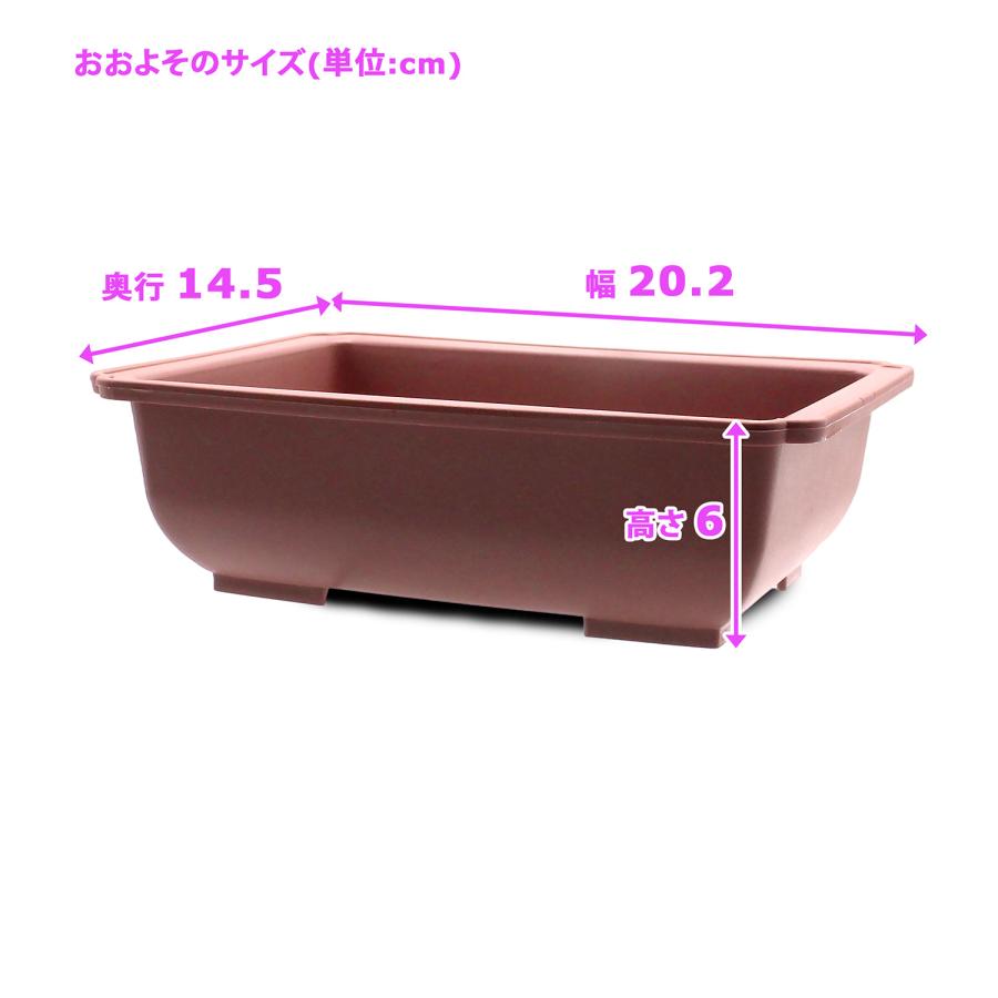 大和プラスチック 盆栽鉢 8号 長方鉢 長角 四角 ブラウン 大和プラスチック 盆栽鉢 8号 長方鉢 長角 四角 ブラウン