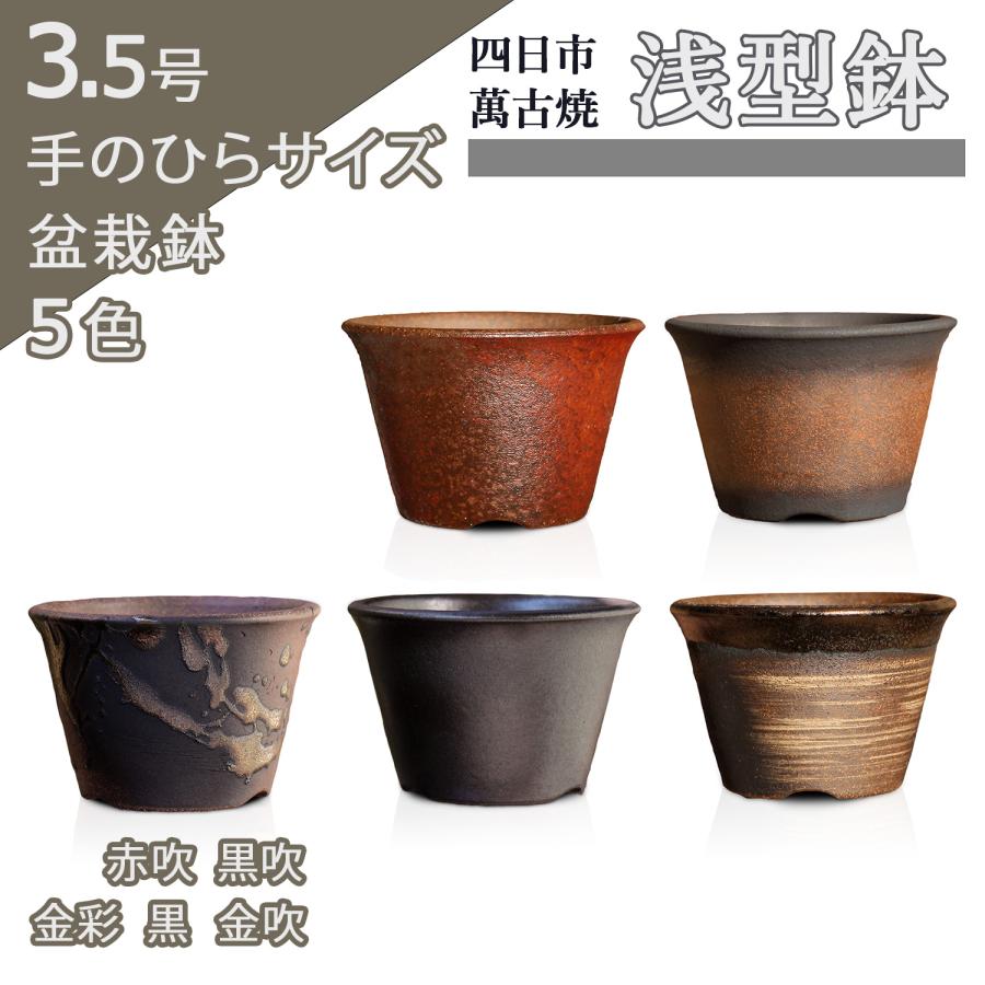 盆栽鉢 浅型 3号クラス 四日市萬古焼 金彩 黒 赤吹 金吹 黒吹 五色 丸