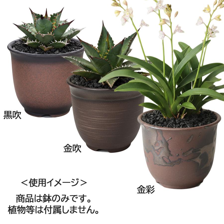 盆栽鉢 エビネ鉢 4号 四日市萬古焼 金彩 黒 赤吹 黒吹 金吹 5色 丸