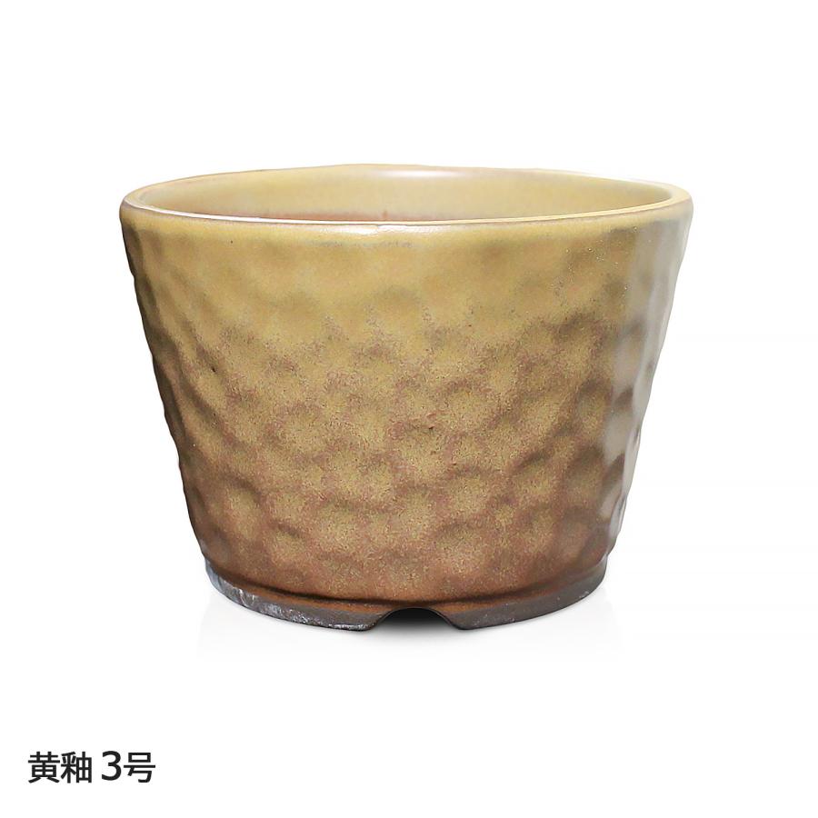 陶器製 長方形 ソーサー 黄色、小品盆栽鉢 【公式通販】