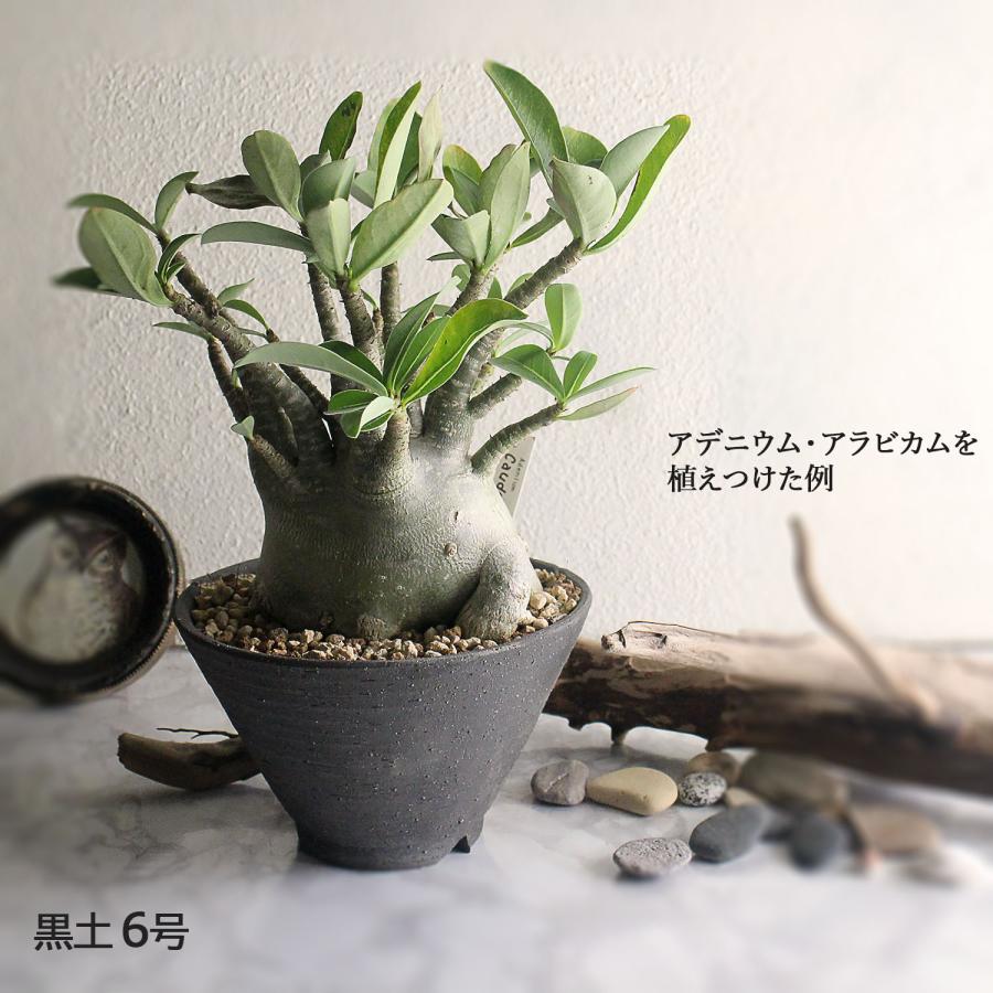 盆栽鉢 丸反型 6号 美濃焼 灰釉 黒土 古陶縄文 3色 丸 円形 陶器 深め