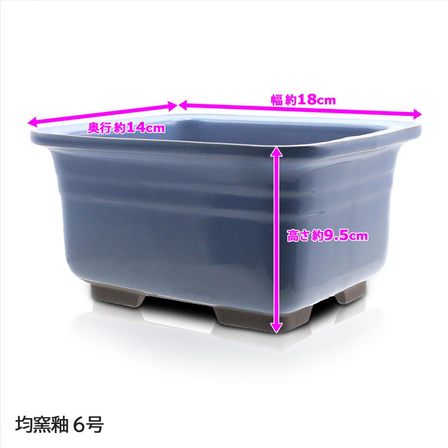盆栽鉢 7号 ナデ角中帯深 七色 瀬戸焼 深型 陶器 ウ泥 緑 青 黄 白